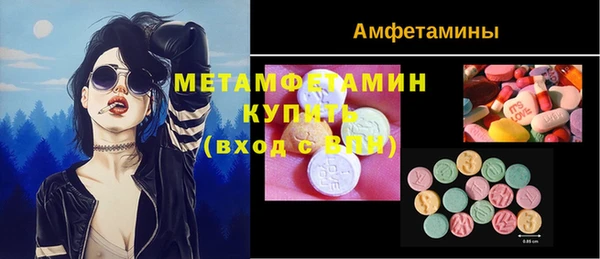 индика Верхний Тагил