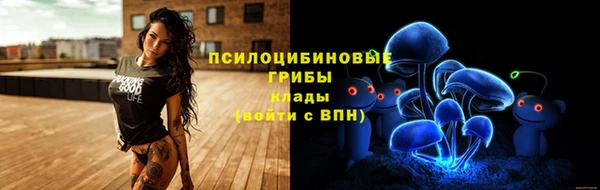 трава Верхнеуральск