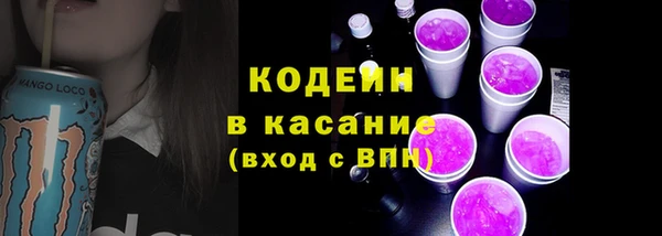 индика Верхний Тагил