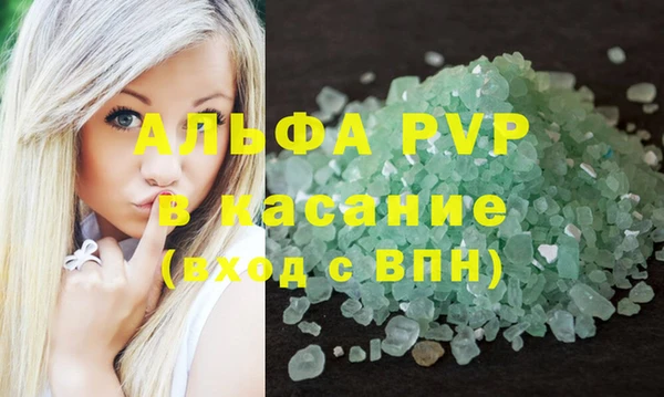 индика Верхний Тагил