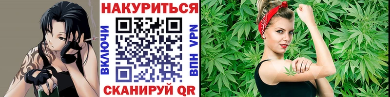 Купить где Саранск Шишки марихуана THC 21%